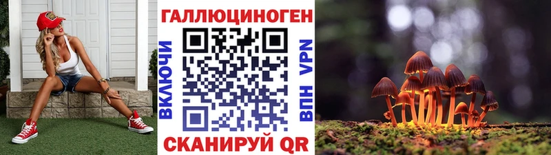 Псилоцибиновые грибы прущие грибы  Шимановск 